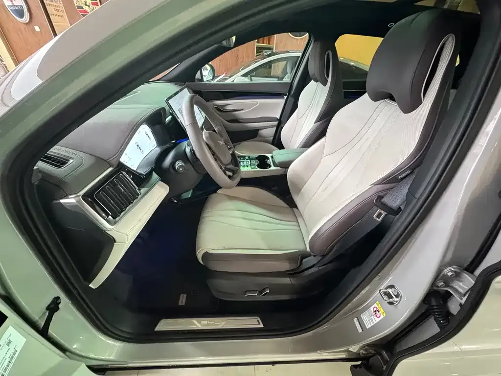 BYD PLUS New Energy 2025 из CN, фото 7