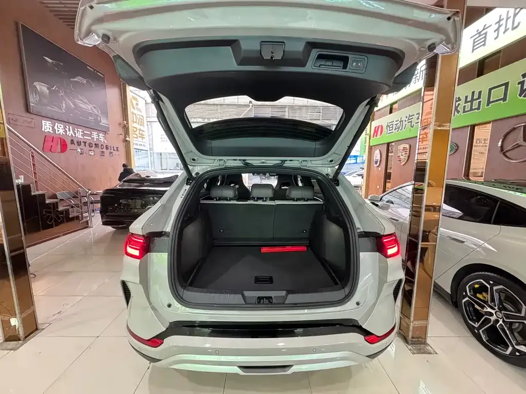 BYD PLUS New Energy 2025 из CN, фото 4