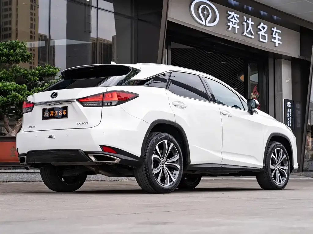 Lexus RX 2022 из CN, фото 5