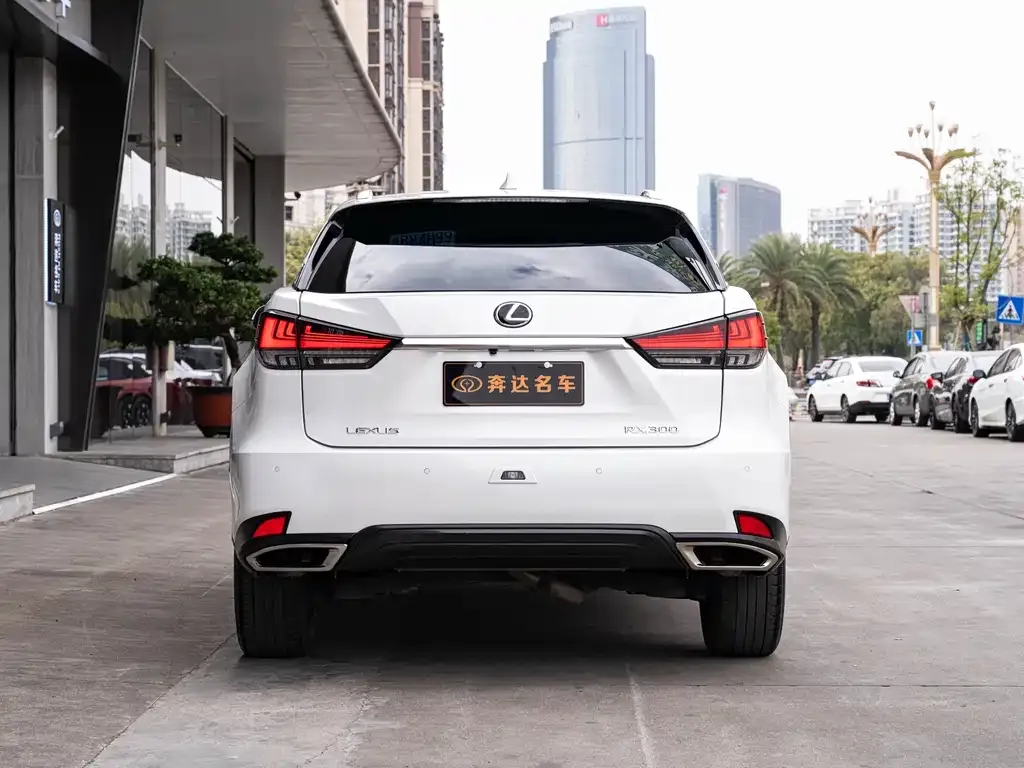 Lexus RX 2022 из CN, фото 6