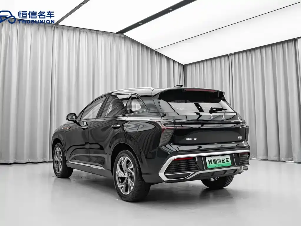 Hongqi HS3 PHEV 2025 из CN, фото 10