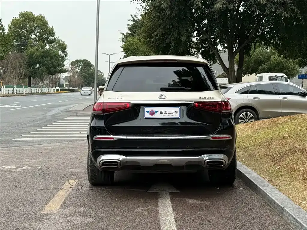 Mercedes-Benz GLS 2022 из CN, фото 8