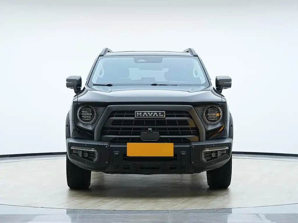 Haval Big Dog — фото 8