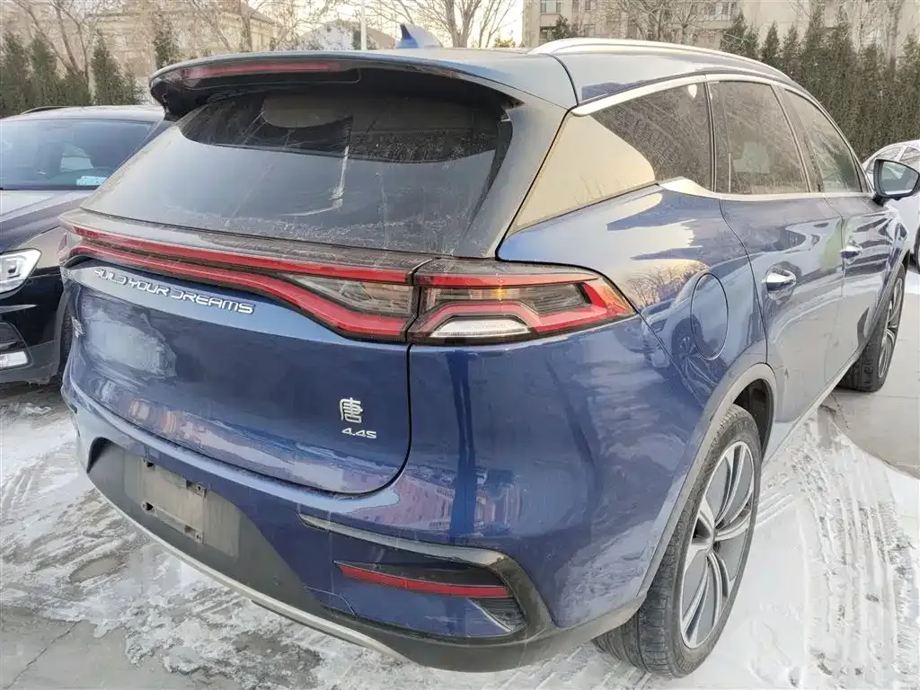 BYD Tang New Energy 2022 из CN, фото 6