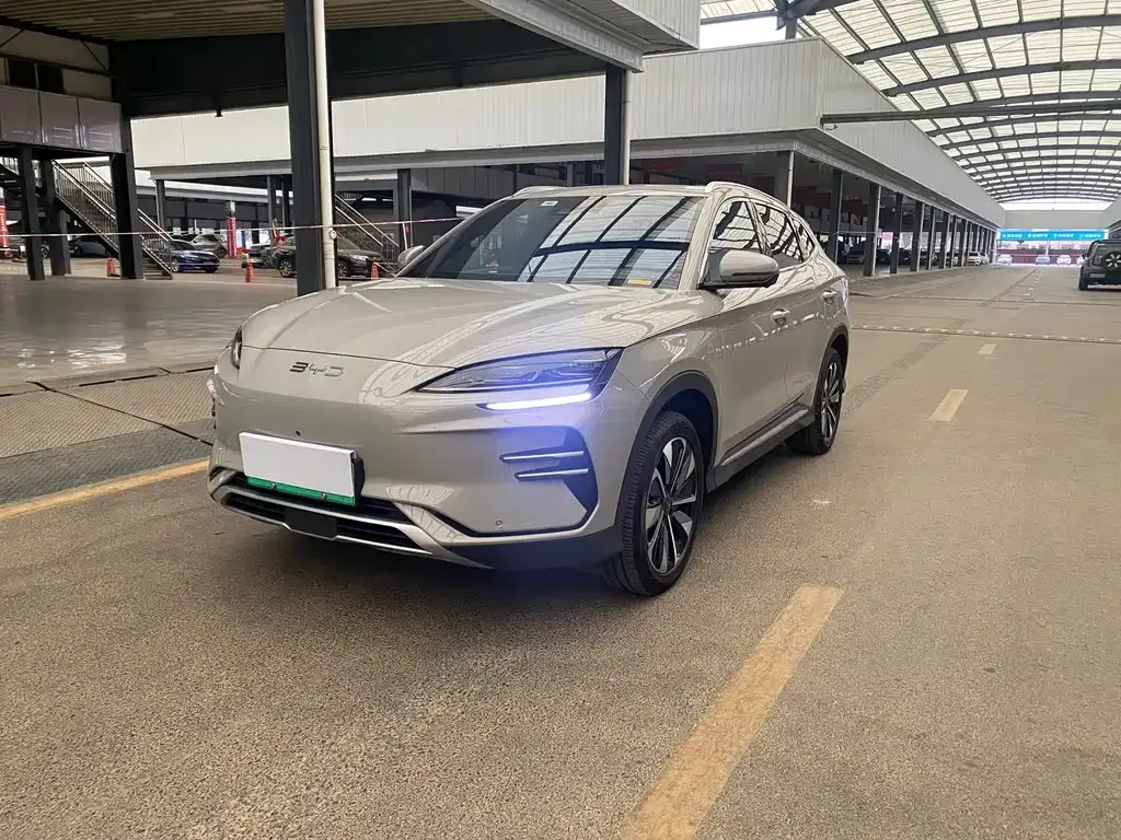 BYD PLUS New Energy 2024 из CN, фото 1