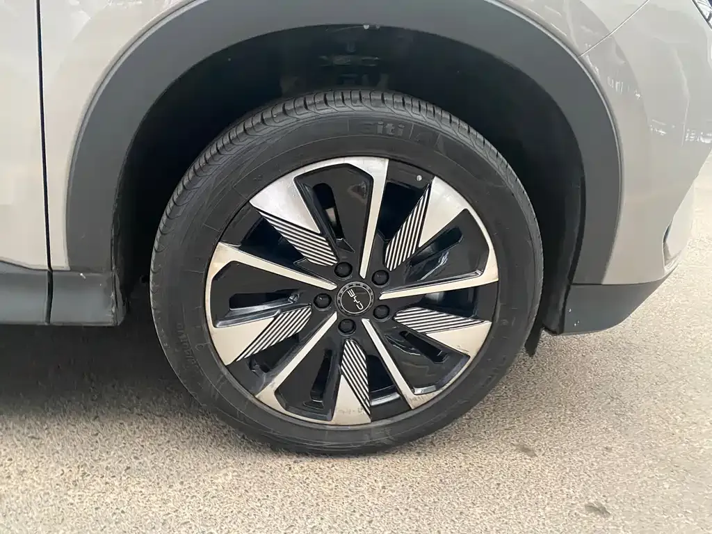 BYD PLUS New Energy 2024 из CN, фото 3
