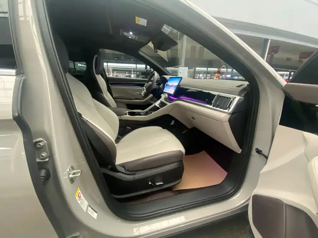 BYD PLUS New Energy 2024 из CN, фото 2