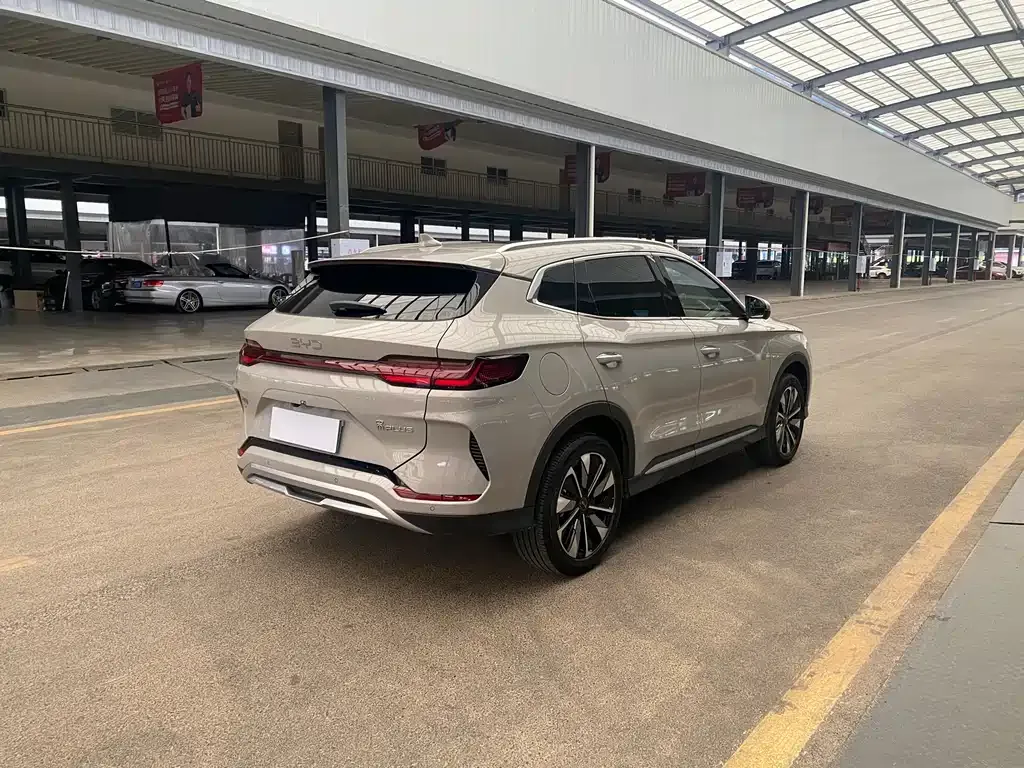 BYD PLUS New Energy 2024 из CN, фото 5