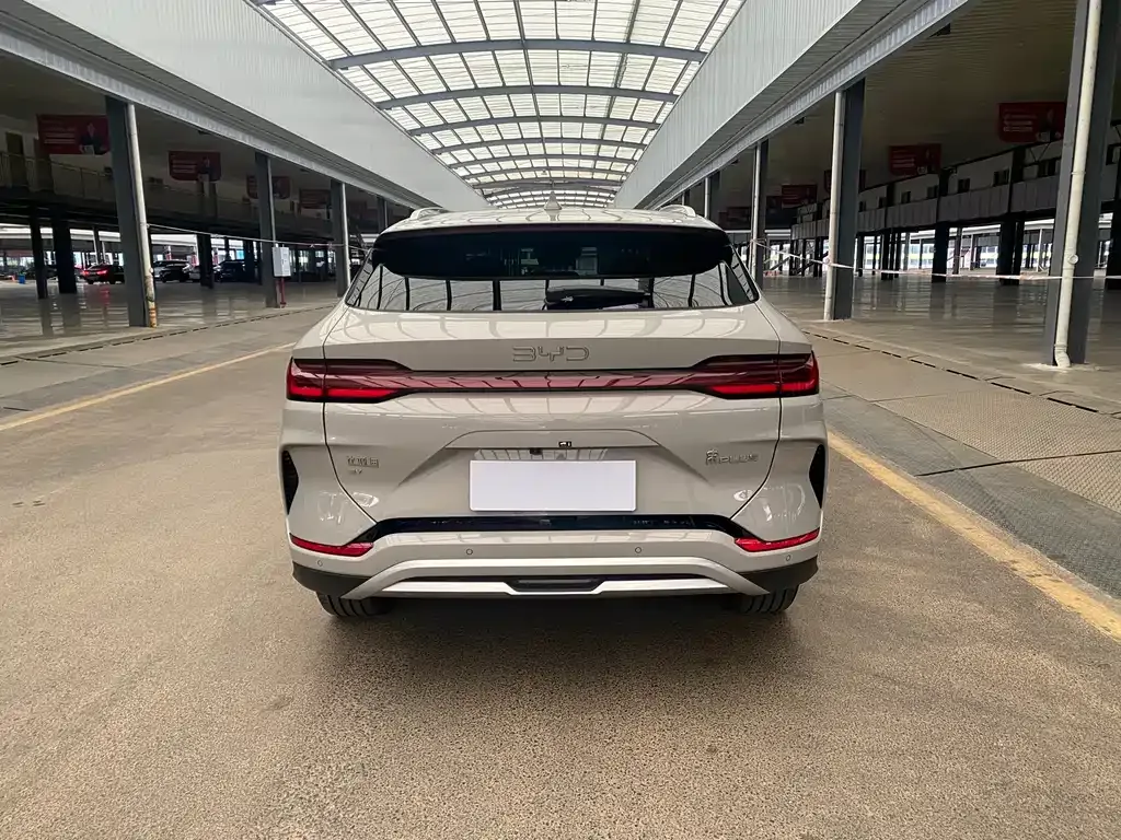 BYD PLUS New Energy 2024 из CN, фото 8