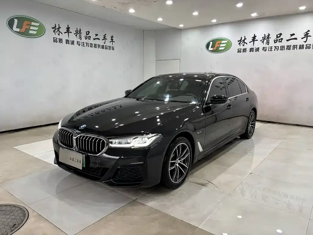 BMW 5 Series New Energy 2022 из CN, фото 1
