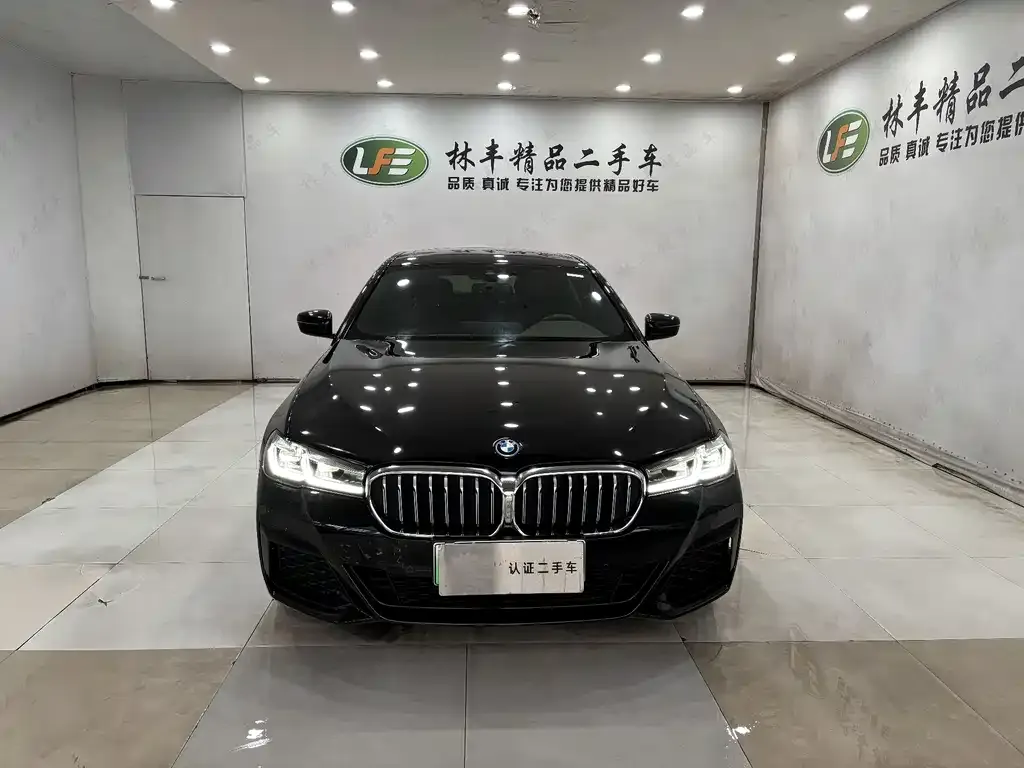 BMW 5 Series New Energy 2022 из CN, фото 8