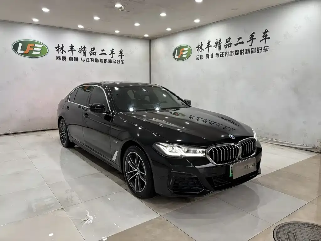 BMW 5 Series New Energy 2022 из CN, фото 7