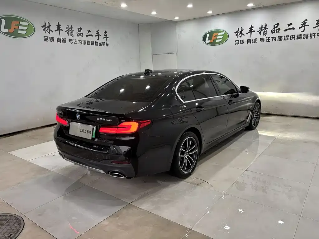 BMW 5 Series New Energy 2022 из CN, фото 6