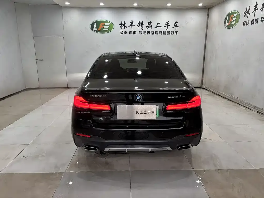 BMW 5 Series New Energy 2022 из CN, фото 3