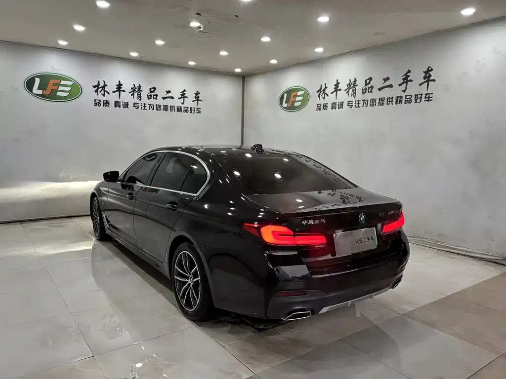BMW 5 Series New Energy 2022 из CN, фото 5