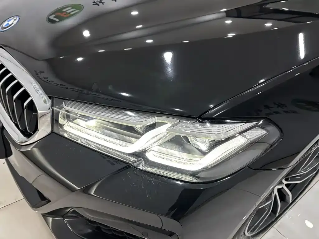 BMW 5 Series New Energy 2022 из CN, фото 9
