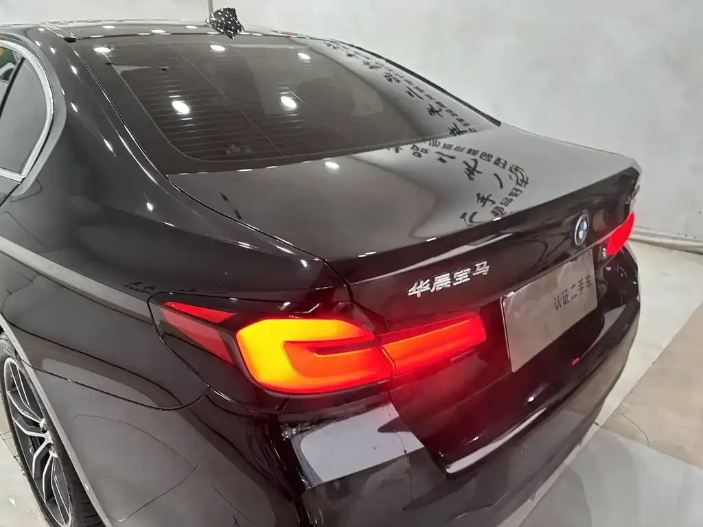 BMW 5 Series New Energy 2022 из CN, фото 2