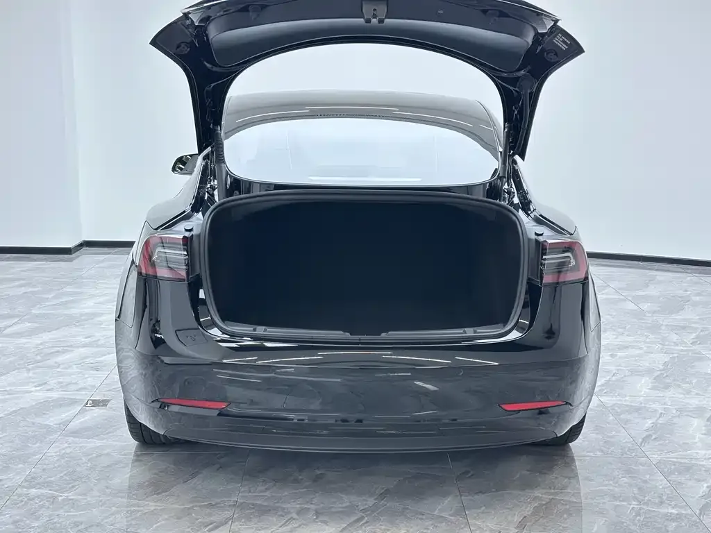 Tesla Model 3 2023 из CN, фото 10