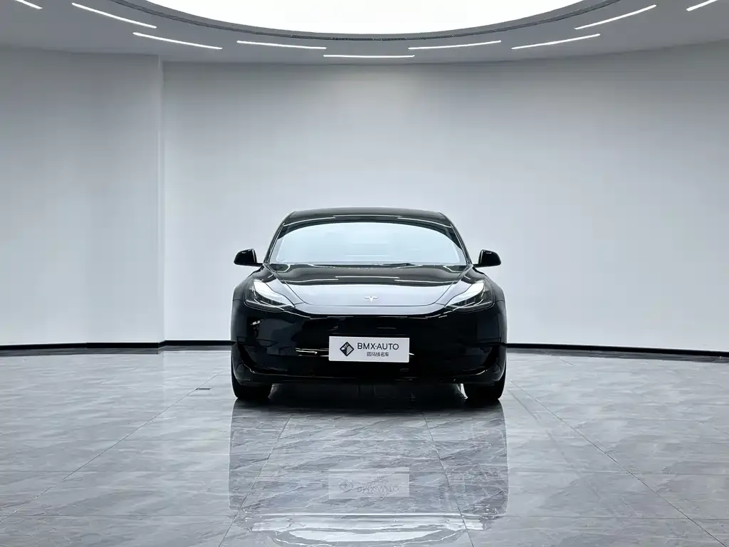 Tesla Model 3 2023 из CN, фото 3