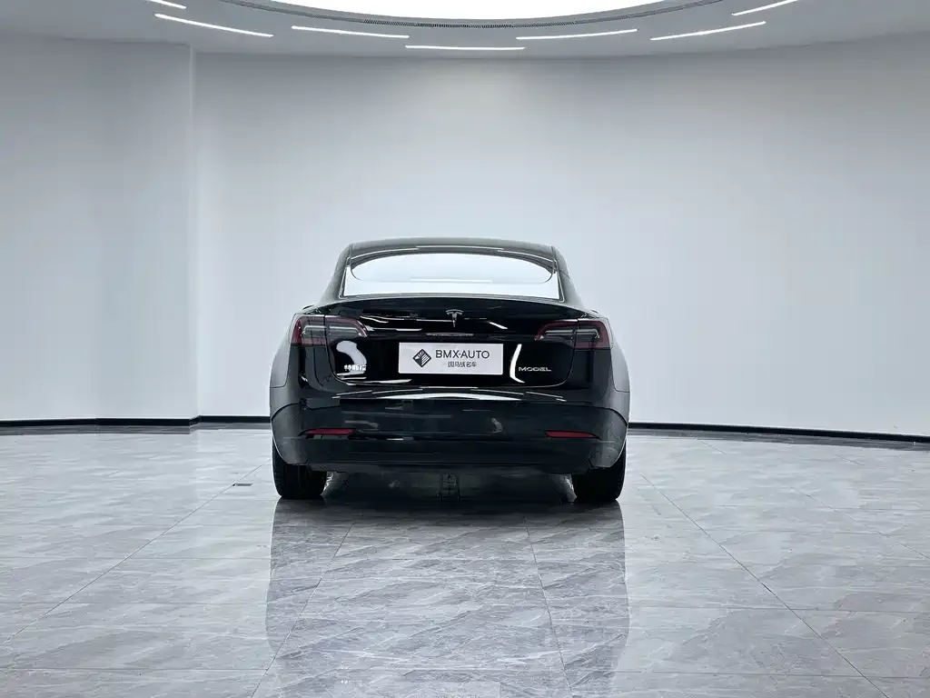 Tesla Model 3 2023 из CN, фото 2