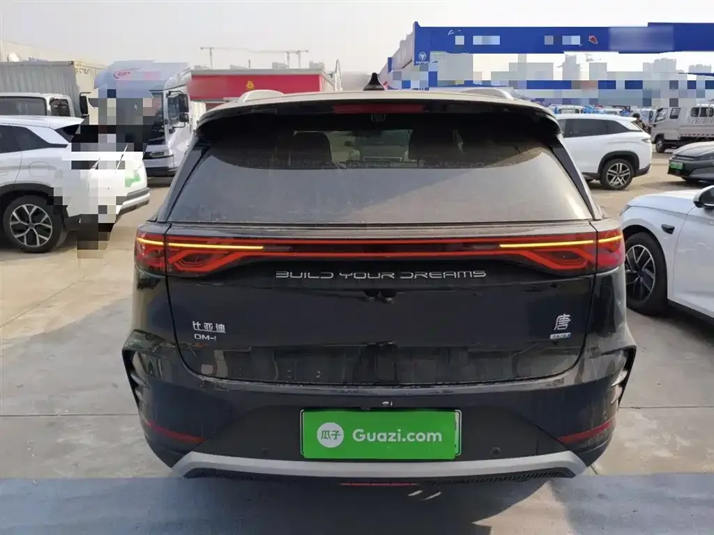 BYD Tang New Energy 2025 из CN, фото 2