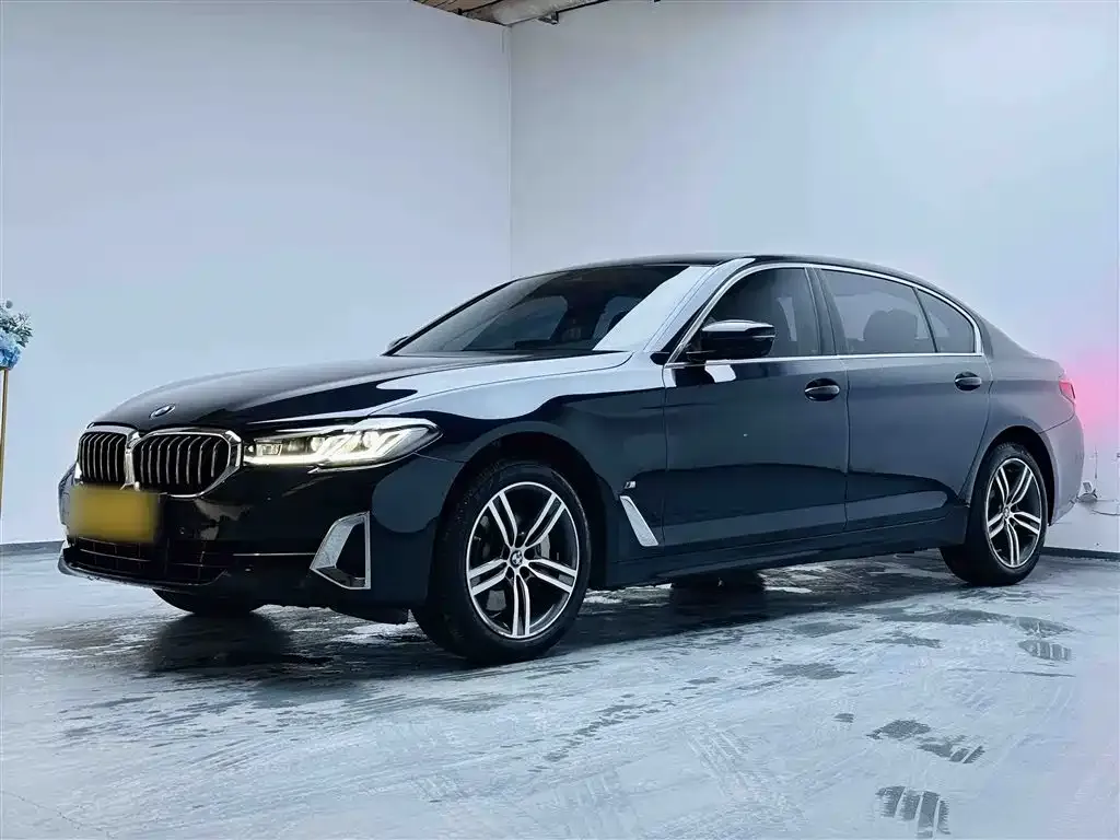 BMW 5 Series 2023 из CN, фото 9