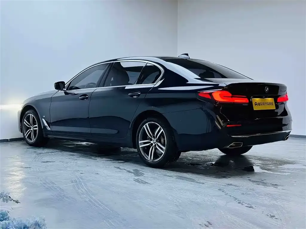 BMW 5 Series 2023 из CN, фото 6