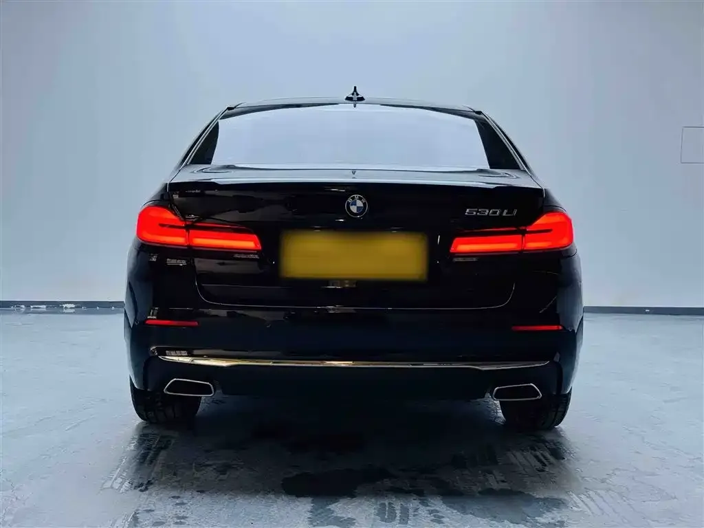 BMW 5 Series 2023 из CN, фото 5