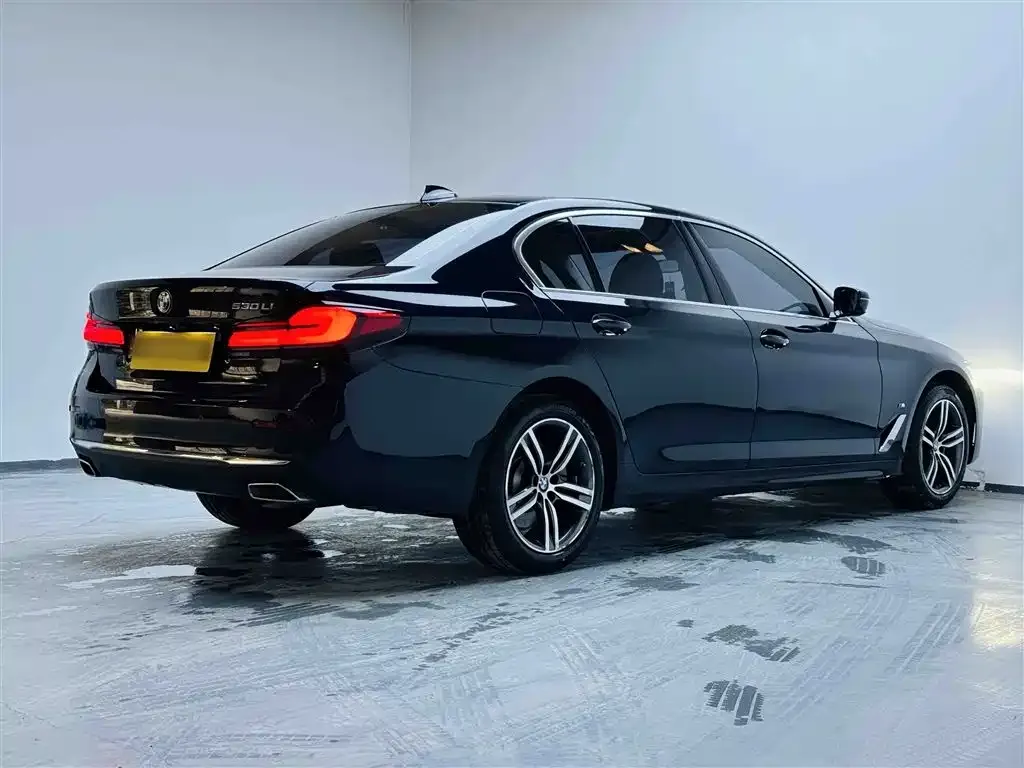 BMW 5 Series 2023 из CN, фото 7