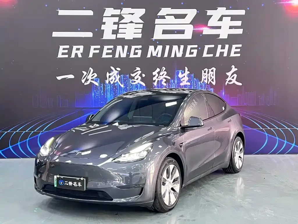 Tesla Model Y 2021 из CN, фото 1