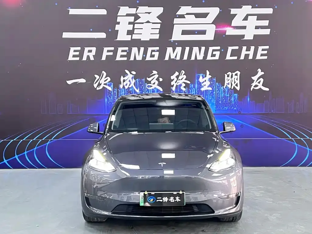 Tesla Model Y 2021 из CN, фото 9