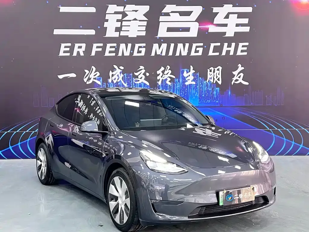 Tesla Model Y 2021 из CN, фото 2