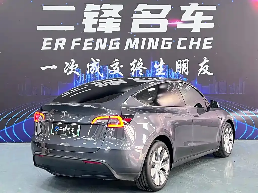 Tesla Model Y 2021 из CN, фото 10