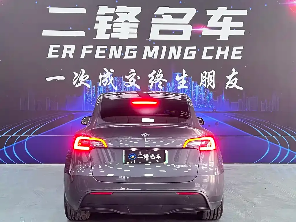 Tesla Model Y 2021 из CN, фото 7