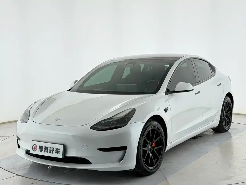 Tesla Model 3 2021 из CN, фото 1