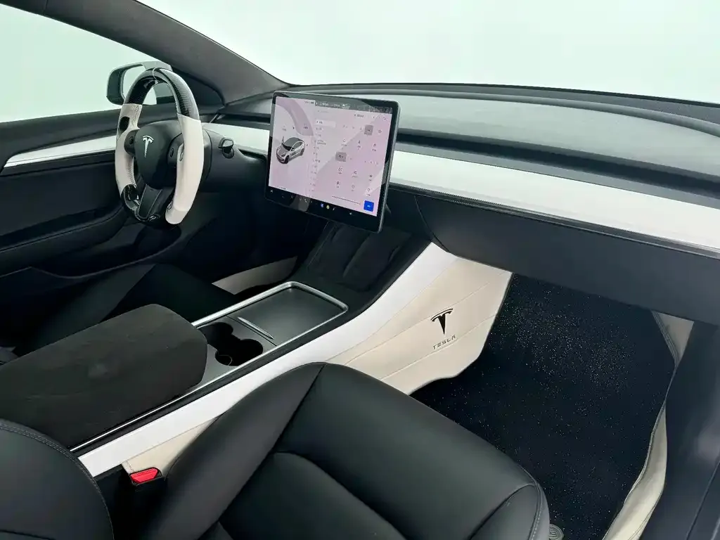 Tesla Model 3 2021 из CN, фото 8