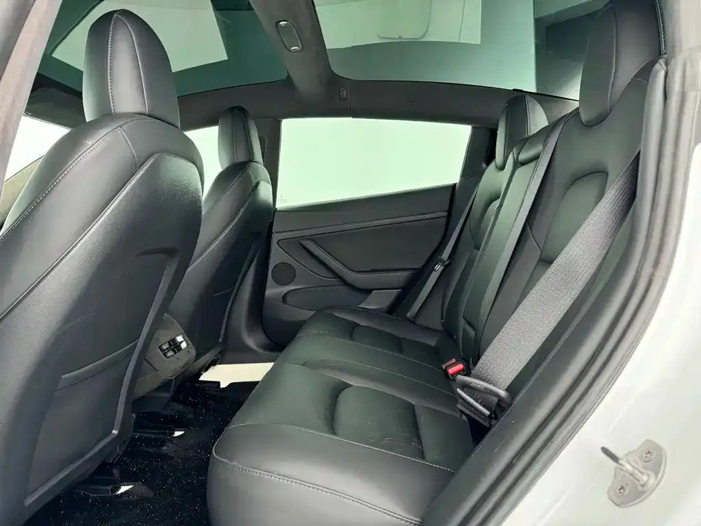 Tesla Model 3 2021 из CN, фото 9