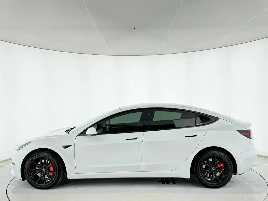 Tesla Model 3 2021 из CN, фото 2