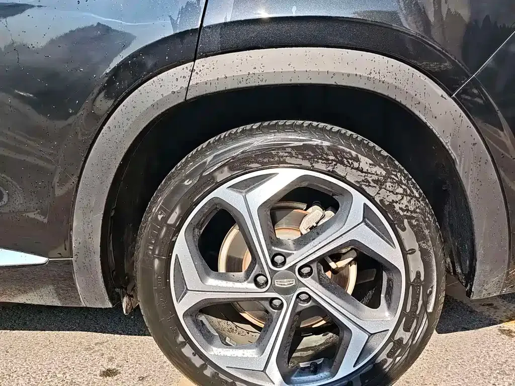 Geely Xingyue L 2022 из CN, фото 4