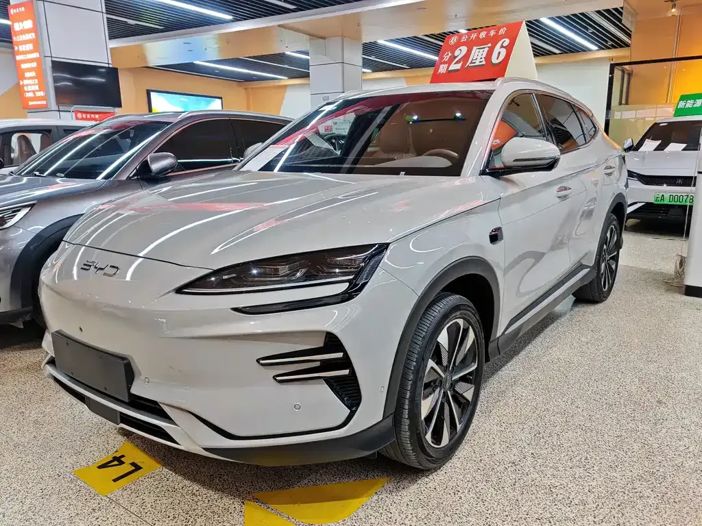 BYD PLUS New Energy 2025 из CN, фото 1