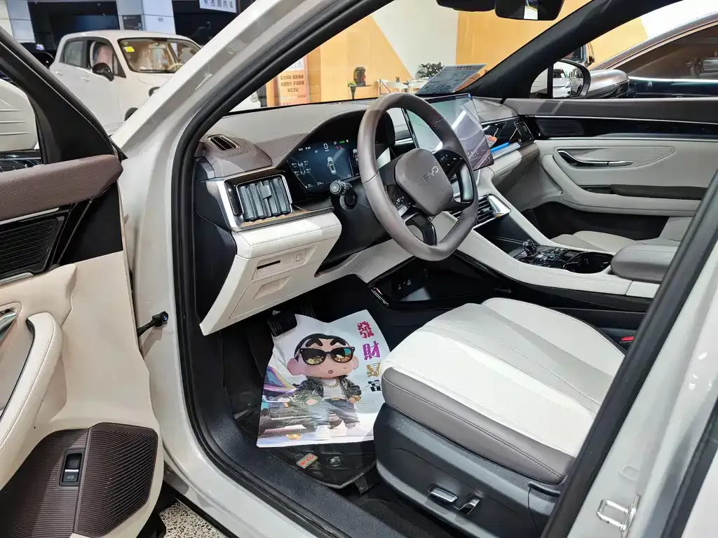BYD PLUS New Energy 2025 из CN, фото 2
