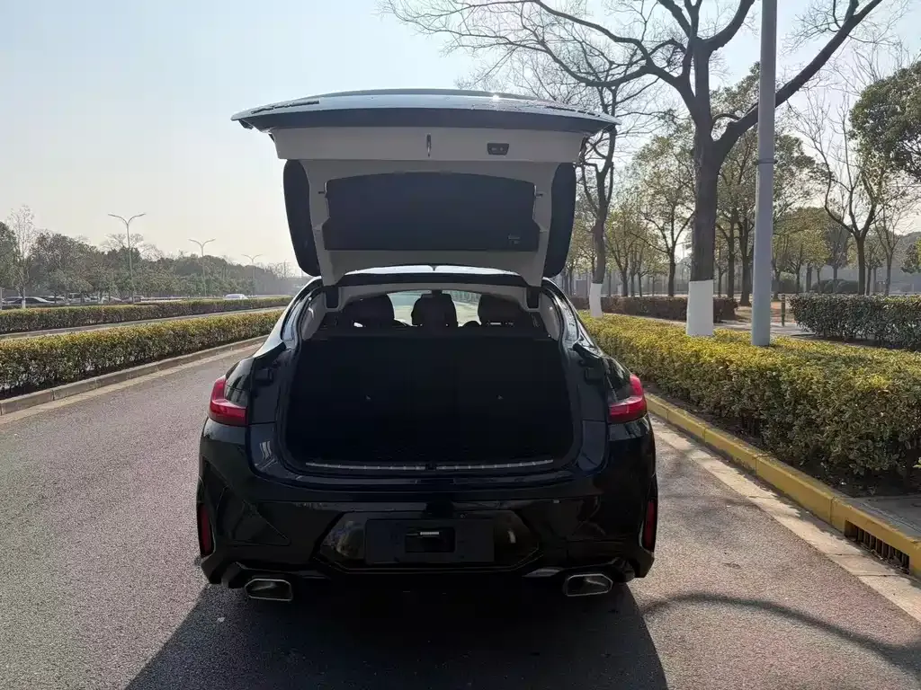 BMW X4 2022 из CN, фото 8