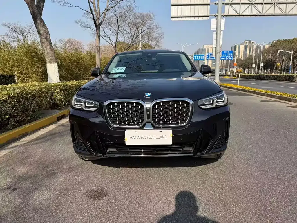 BMW X4 2022 из CN, фото 9