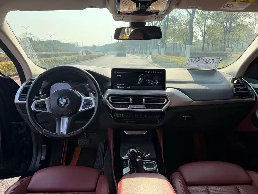 BMW X4 2022 из CN, фото 3