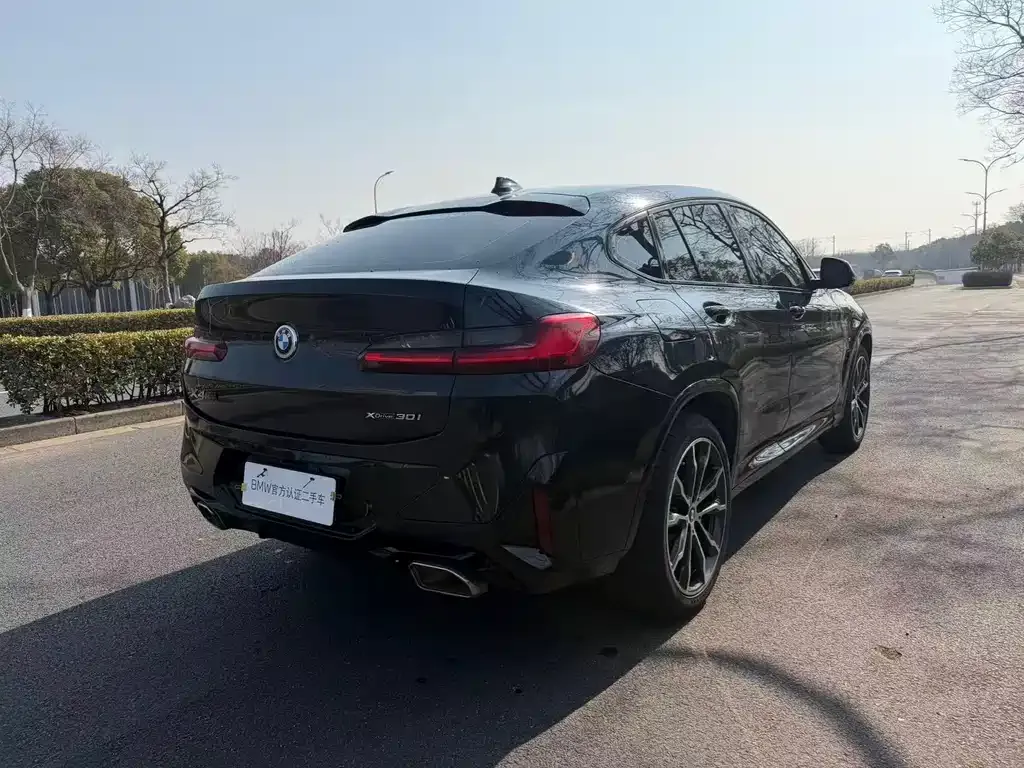 BMW X4 2022 из CN, фото 2
