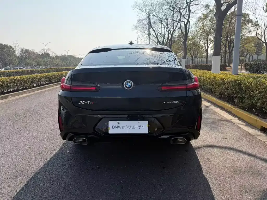 BMW X4 2022 из CN, фото 5