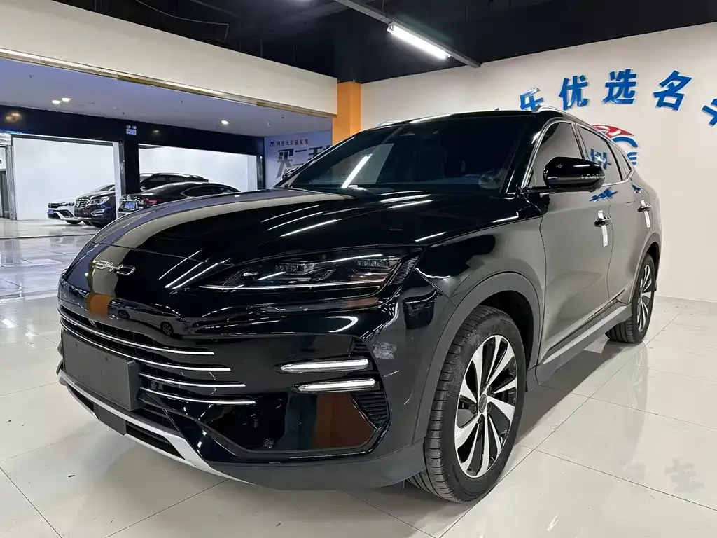 BYD PLUS New Energy 2023 из CN, фото 1