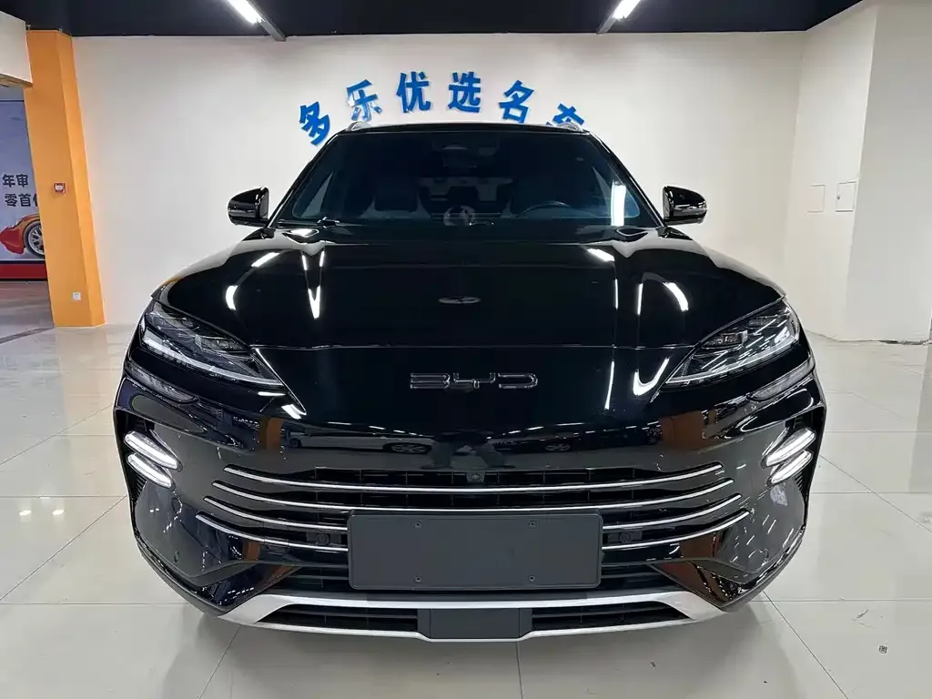 BYD PLUS New Energy 2023 из CN, фото 2