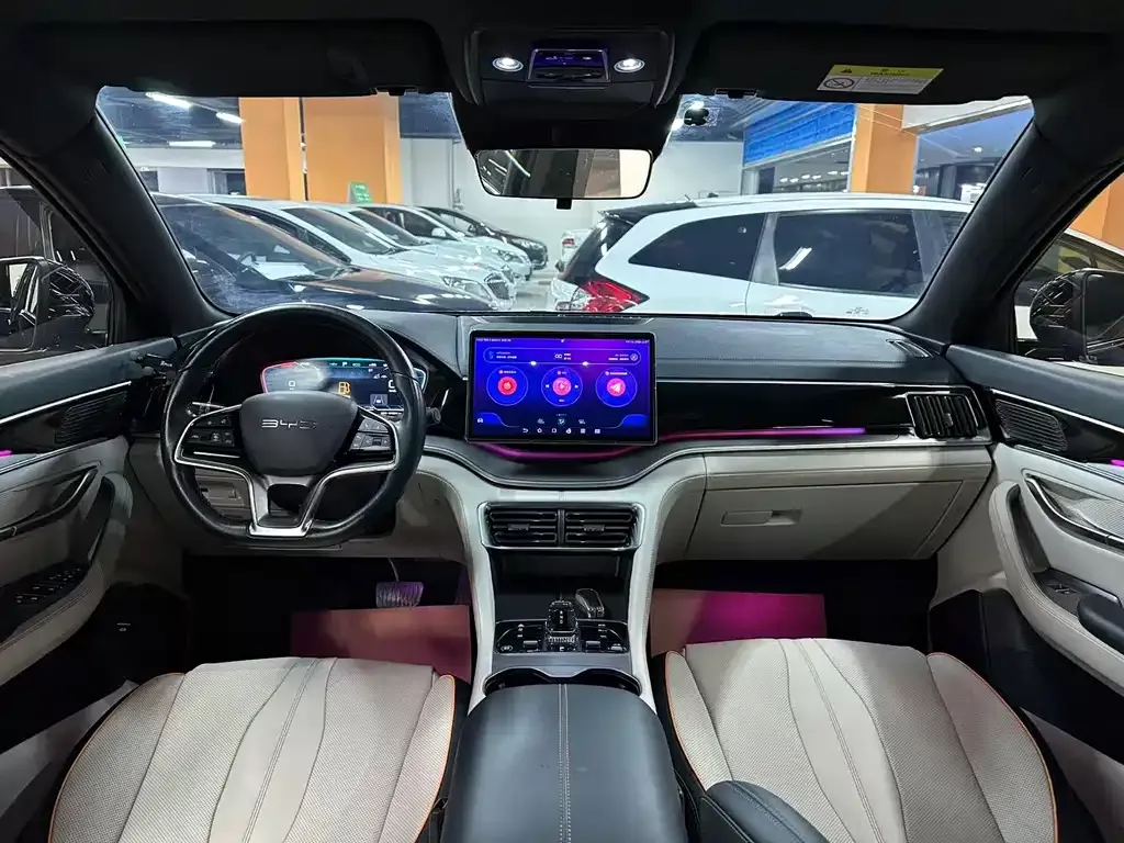 BYD PLUS New Energy 2023 из CN, фото 4