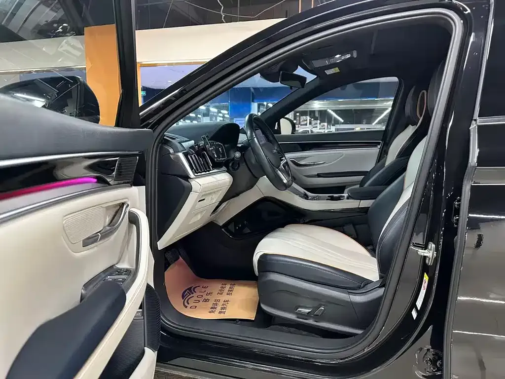 BYD PLUS New Energy 2023 из CN, фото 5
